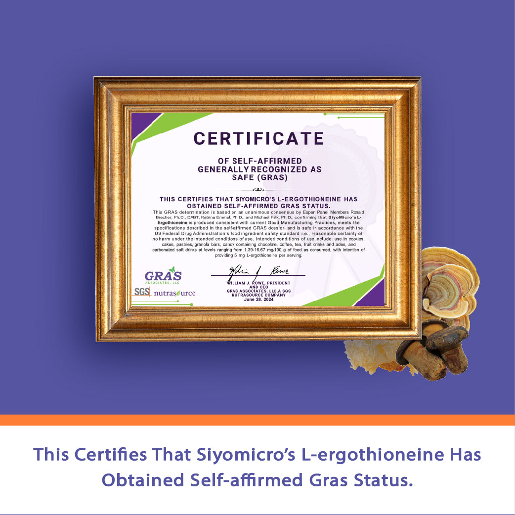 Ergothioneine & 12 Mushroom Powder