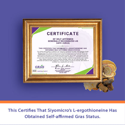 Ergothioneine & 12 Mushroom Powder